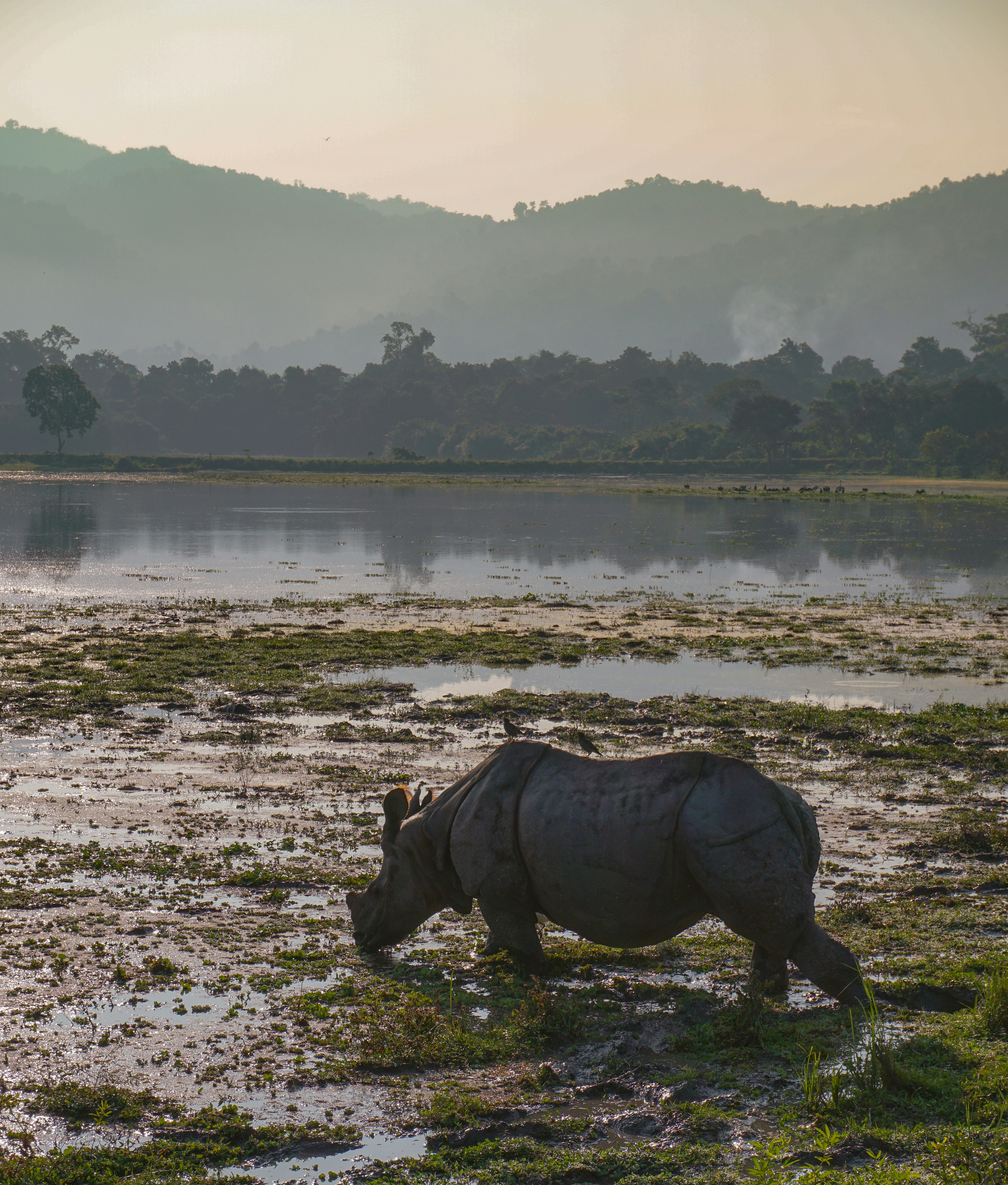 Meghalaya & Kaziranga Signature Luxury Journey