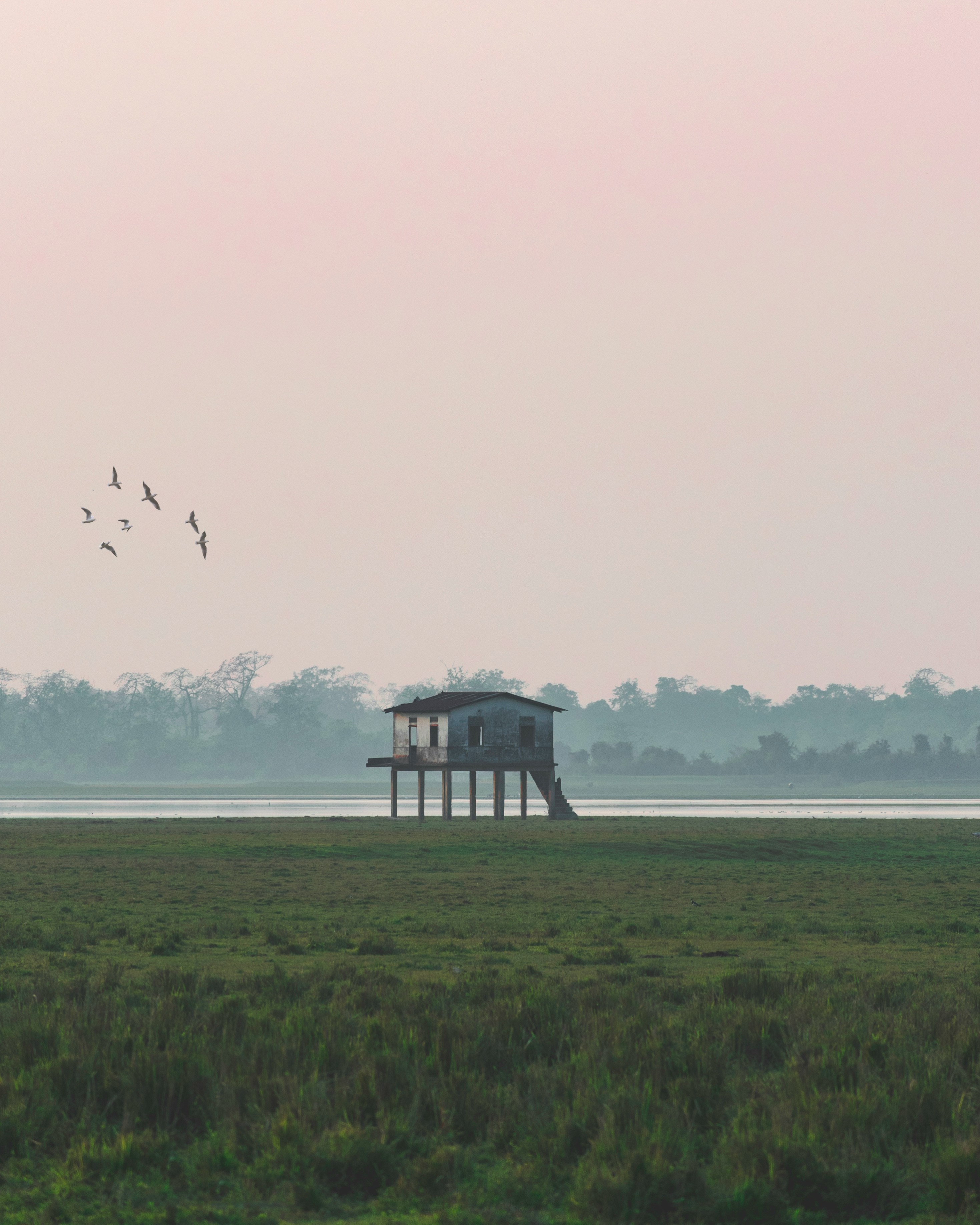 Assam Wildlife & Meghalaya Hill Retreat